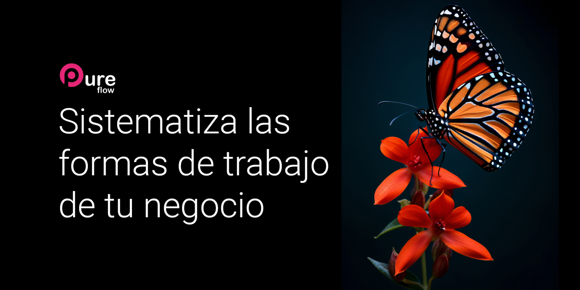 Imagen form